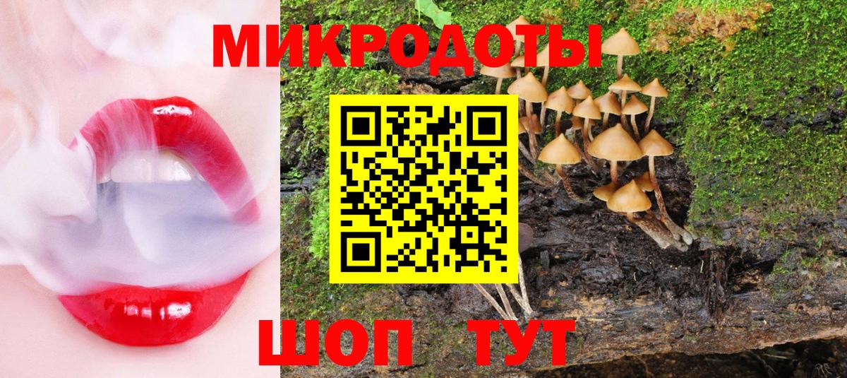 Псилоцибиновые грибы мухоморы  Вход с VPN  Россия 